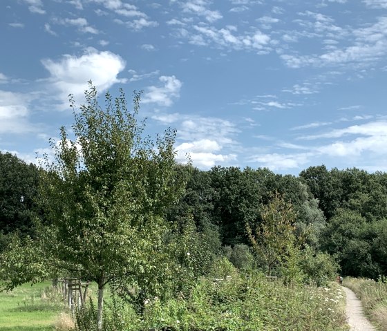 Streuobstwiesen, © StädteRegion Aachen