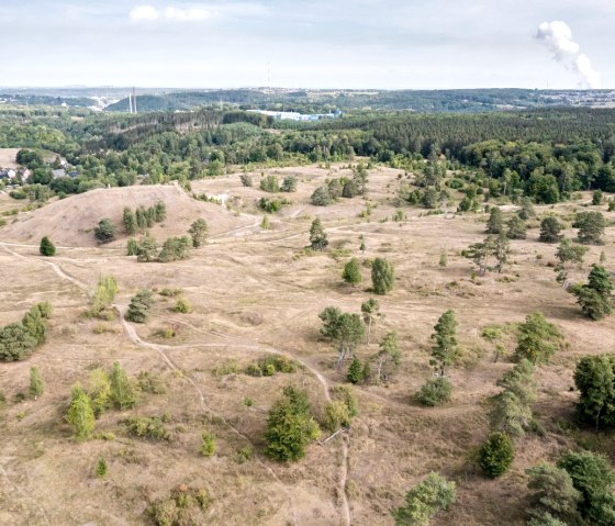 Naturschutzgebiet Schlangenberg, © Eifel Tourismus GmbH