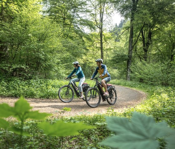 Radweg bei Erkensrur, © Eifel Tourismus GmbH