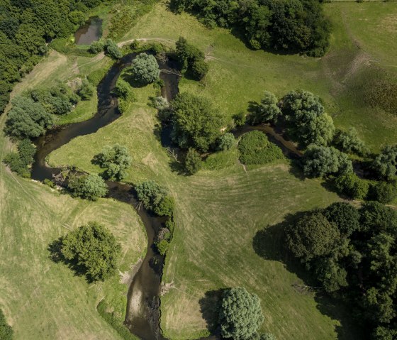 Mäandrierende Wurm, © Fotograf: Dominik Ketz