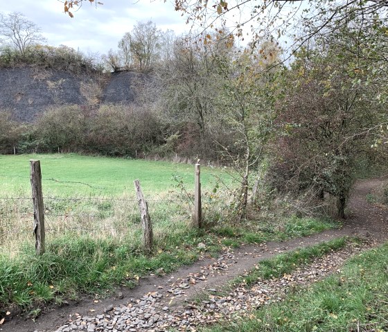 Gouleyhalde, © StädteRegion Aachen