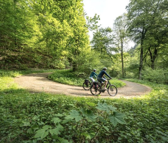 Radweg bei Erkensrur, © Eifel Tourismus GmbH