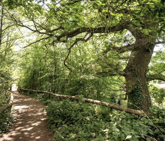 Nell-Breuning-Haus Wanderroute, © Unbekannt