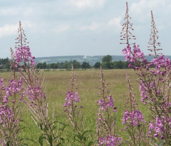 Fernblick Steling, © Bernd Läufer