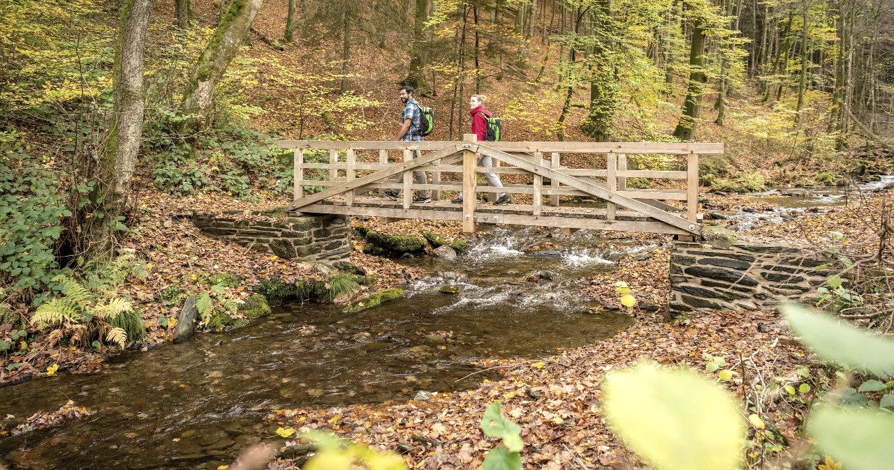 Schrauffweg Püngelbach, © Eifel Tourismus GmbH