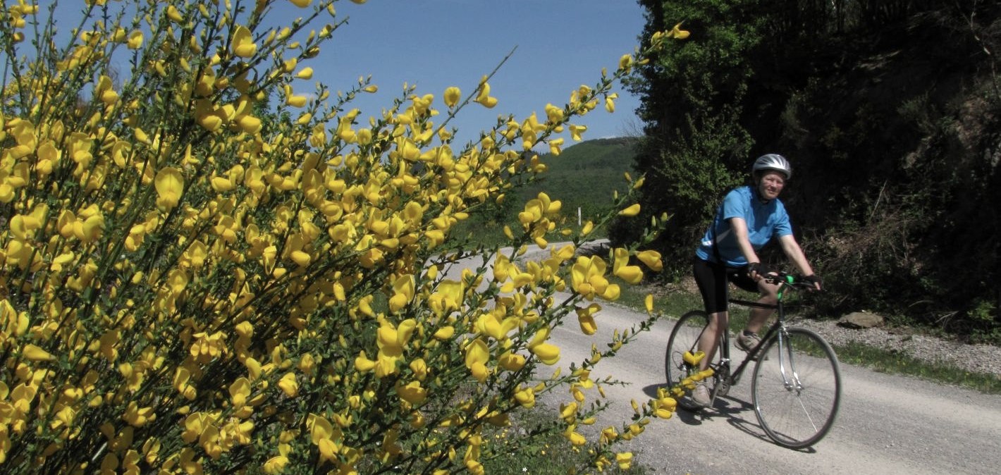 Radfahrer auf der Dreiborner Hochfläche, © K. Winter