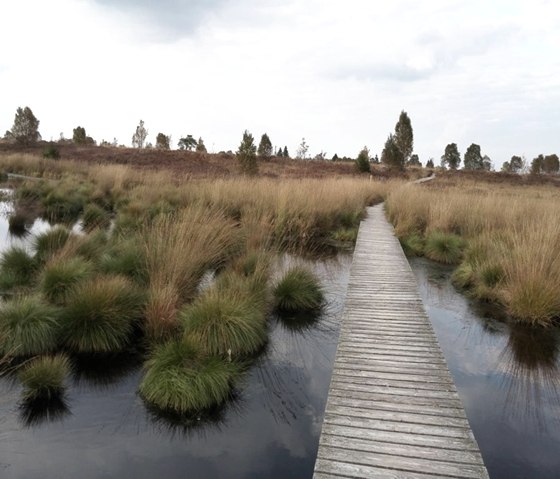 Naturpark Hohes Venn