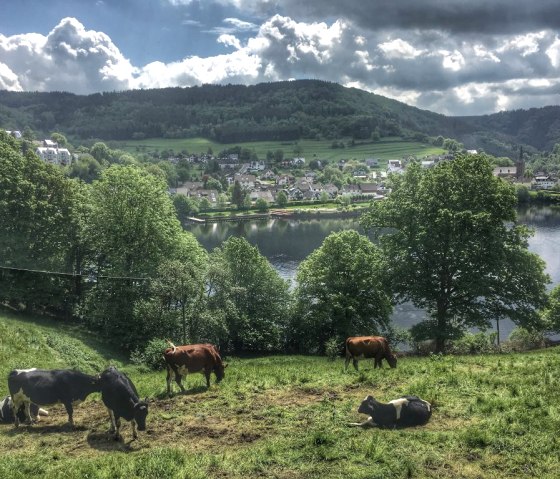 Die Strecke ist sehr idyllisch, daher auch sehr beliebt streckenweise., © Outdooractive Redaktion