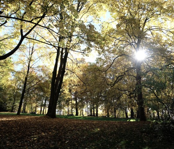 Lousberg, © aachen tourist service e.v.