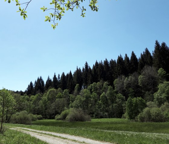 Auf dem Wanderweg Nr. 23, © Monschau-Touristik GmbH, Barbara Frohnhoff