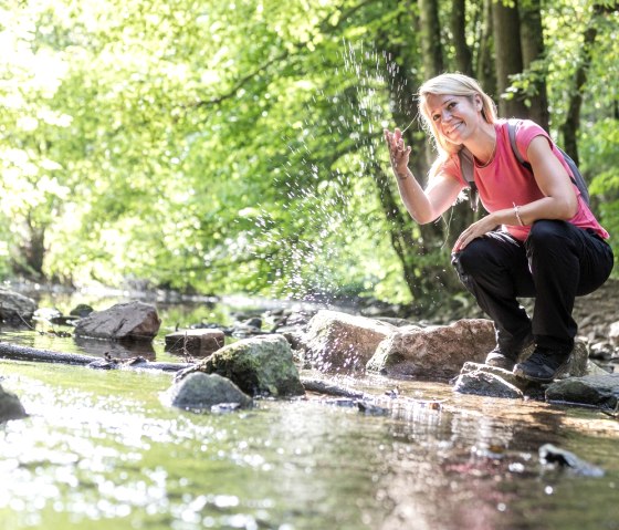 Klauser Wald, © Eifel Tourismus GmbH