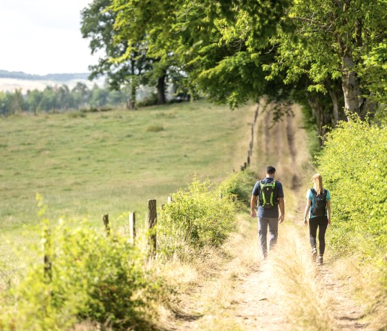 Wandern Rursee-Höhenweg, © Eifel Tourismus GmbH, Dominik Ketz