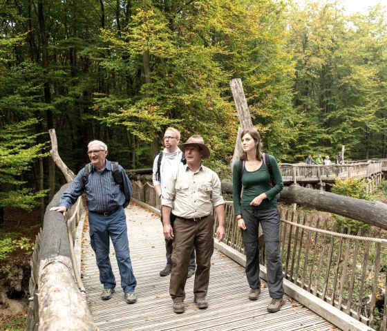 Führung mit Ranger auf dem wilden Weg in Nationalpark Eifel, © Nationalpark Eifel, Dominik Ketz