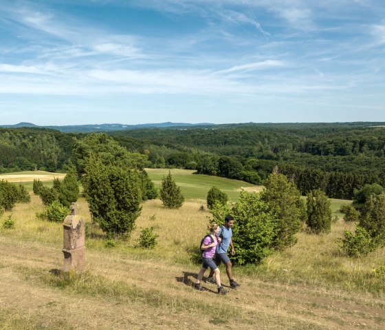 Two hikers on a path in a green, hilly landscape with trees and a wide sky., © Eifel Tourismus GmbH, Dominik Ketz