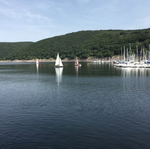 At the Rursee, © Eifel Tourismus GmbH