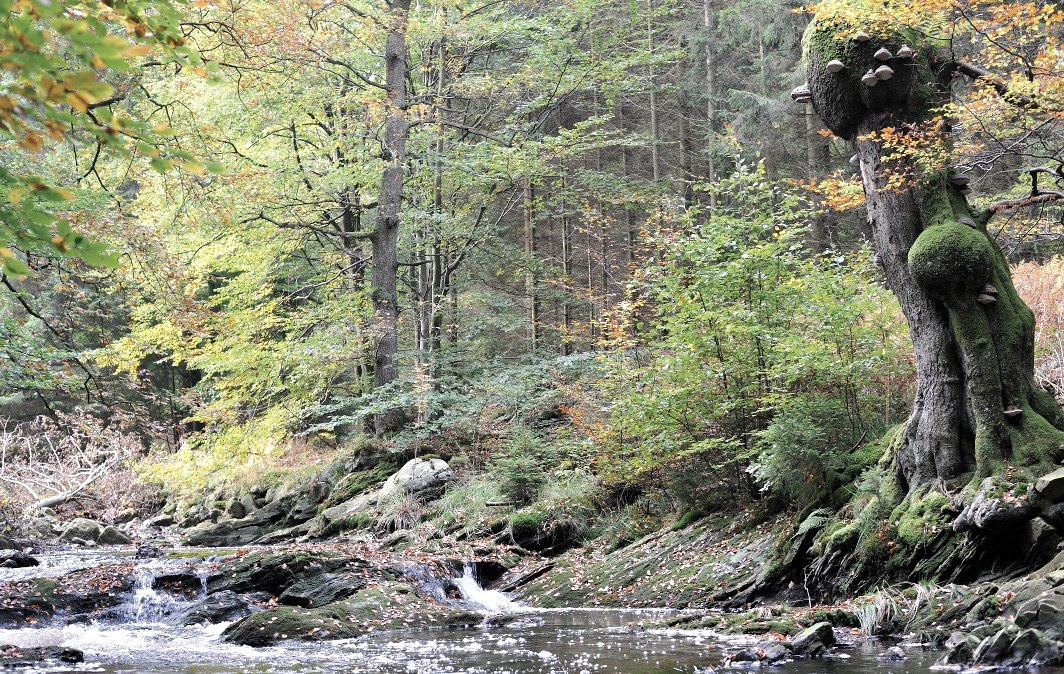 Der schwarze Fluss, © StädteRegion Aachen