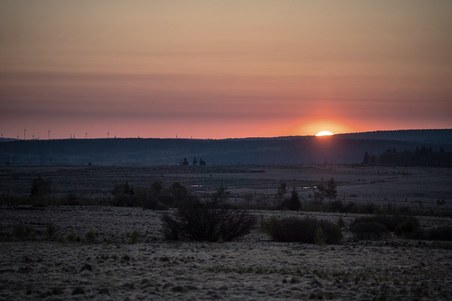 Hohes Venn - Abendstimmung, © Dennis Stratmann