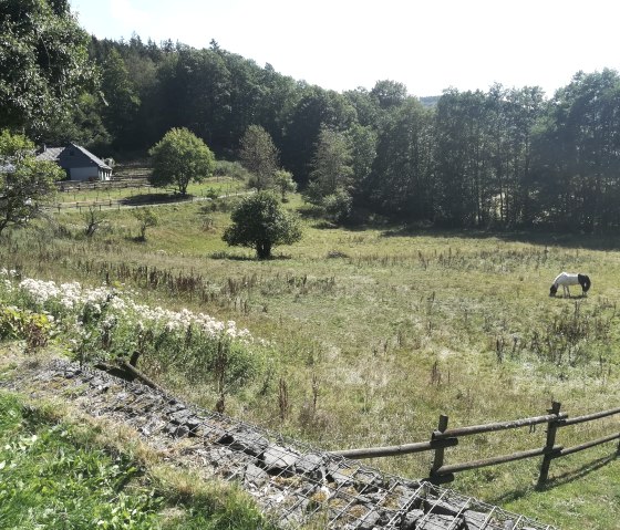 Eifellandschaft, © StädteRegion Aachen