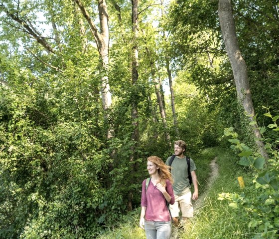 Kalkofen-Wanderung, © Grünmetropole e.V.