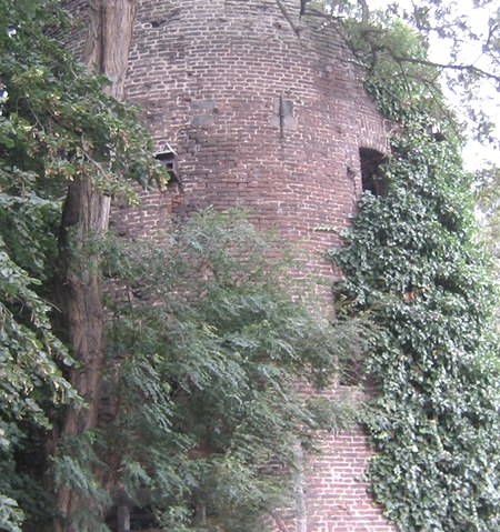 Settericher Windmühle, © Unbekannt