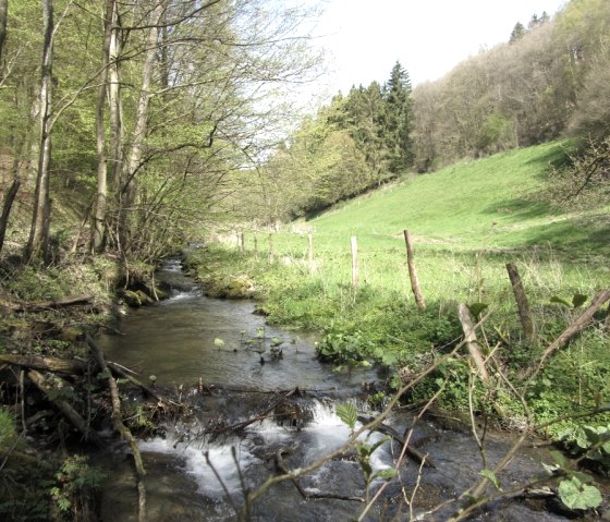 Tiefenbach, © StädteRegion Aachen