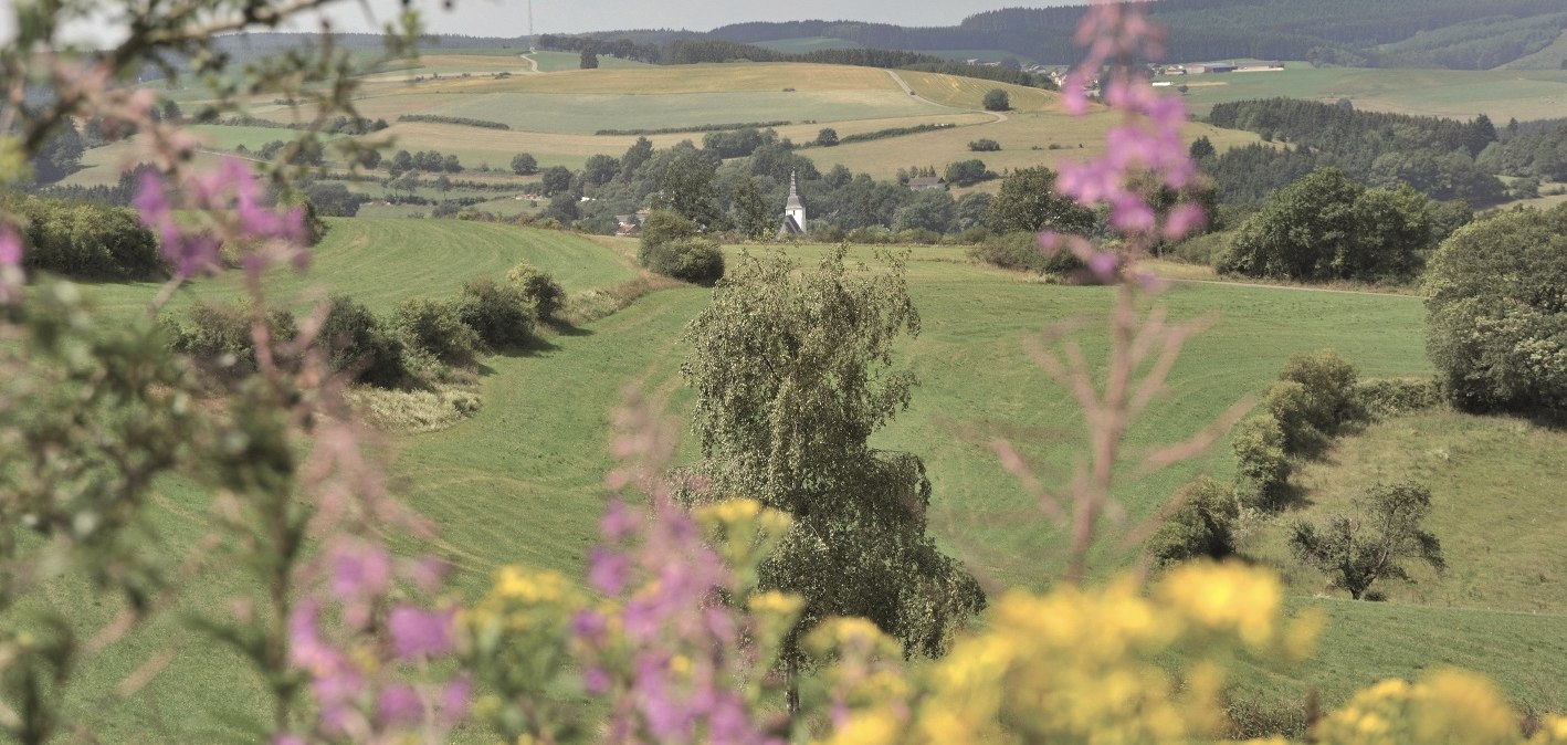 Eine herrliche Landschaft, © Tourismusagentur Ostbelgien