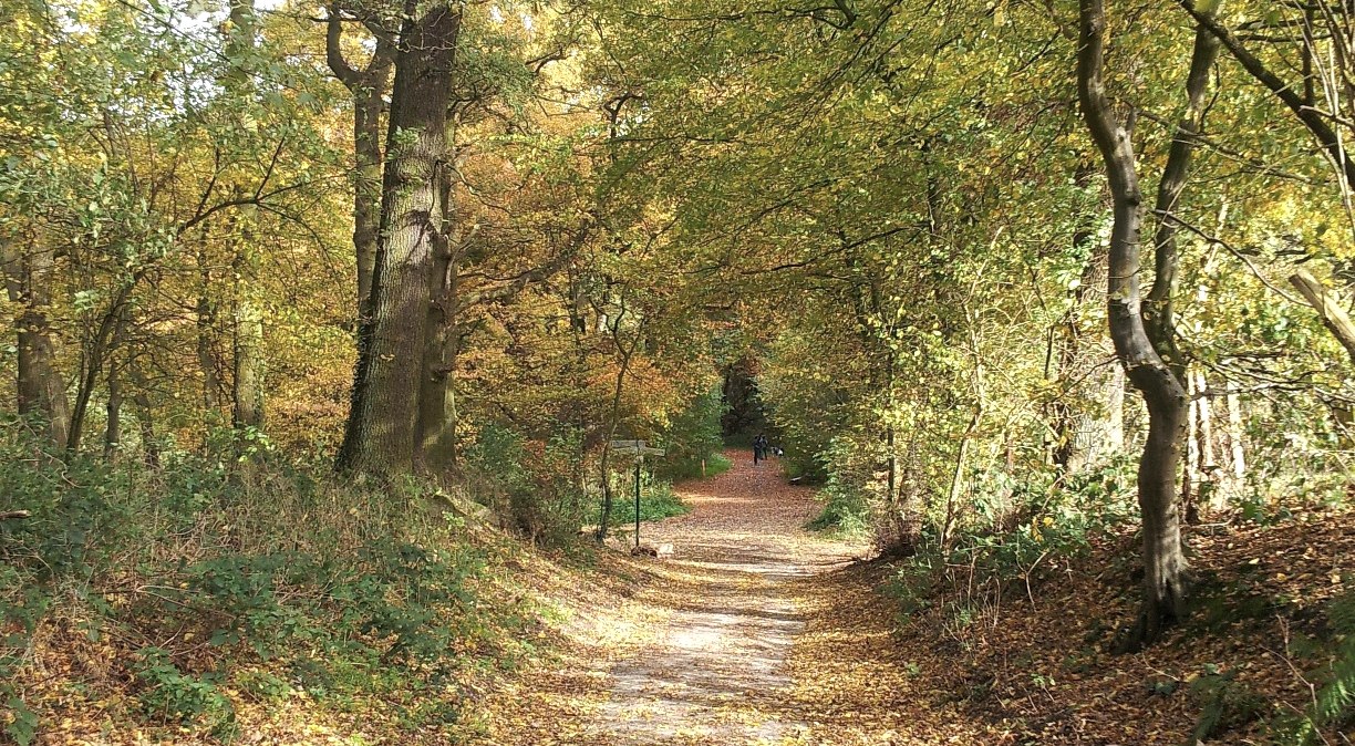 Wanderweg im Wurmtal, © Stadt Würselen