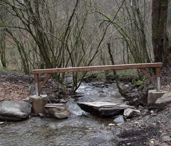 Ökologisch sinnvoll: Statt Damm und Rohr Trittsteine wie hier am Mühlenbach., © Biologische Station StädteRegion Aachen e.V.