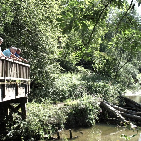 Aan de Worm, © Visit Zuid Limburg