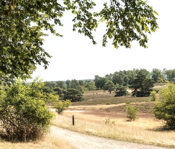 Brunssummerheide, © Grünmetropole e.V.