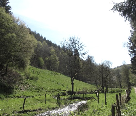 Tiefenbach between Kesternich and Dedenborn, © StädteRegion Aachen