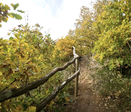 Wanderweg Rur-Olef-Route hinauf zur Kuckucksley, © Rheinland-Pfalz Tourismus GmbH/D. Ketz