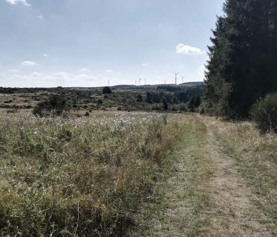 Dreiborner Hochfläche, © StädteRegion Aachen