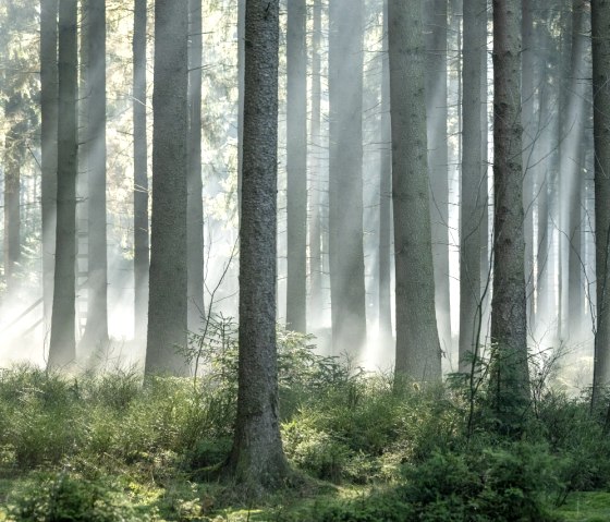 Wesertal bei Roetgen, © StädteRegion Aachen