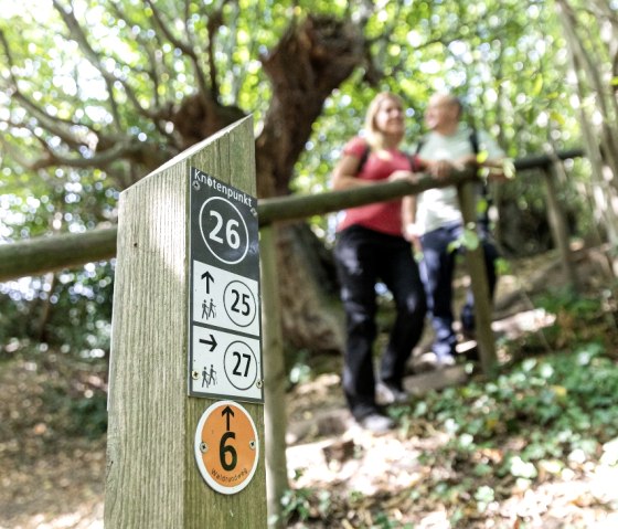 Wanderknotenpunkt im Aachener Wald, © Eifel Tourismus GmbH