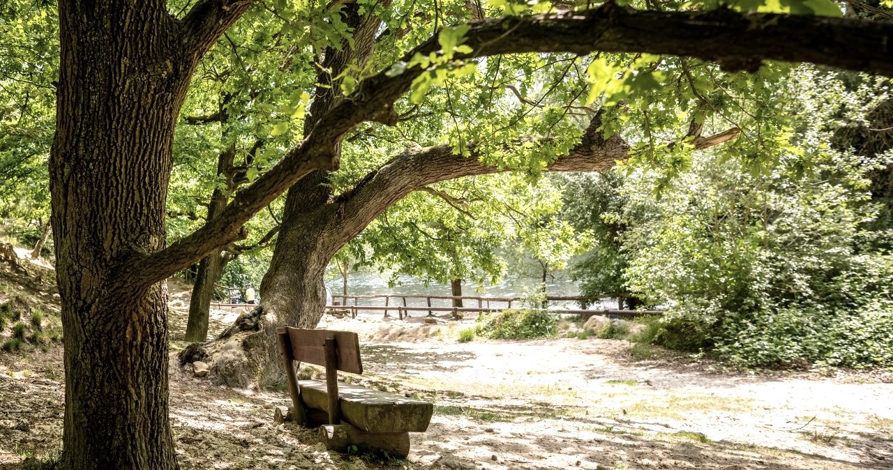 Nell-Breuning-Haus Wanderroute, © Unbekannt