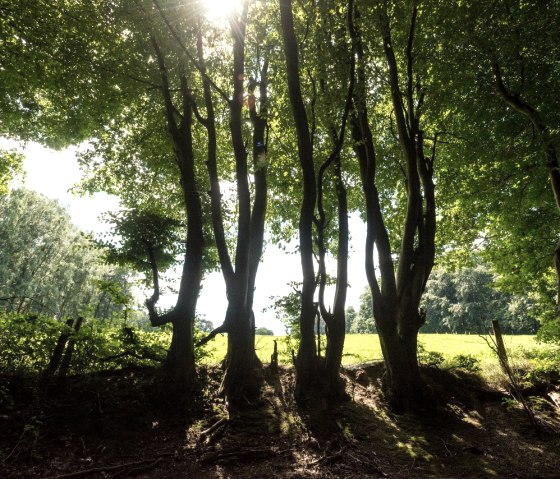 Wanderweg im Wurmtal, © StädteRegion Aachen