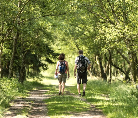 NSG Struffelt, © Eifel Tourismus GmbH