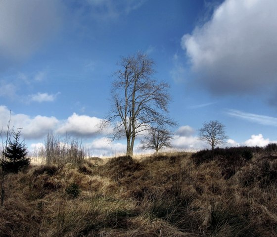 Durch die "Steppenlandschaft" der Eifel, © Community