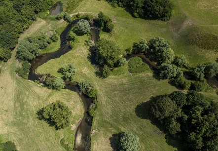 Mäandrierende Wurm, © Fotograf: Dominik Ketz