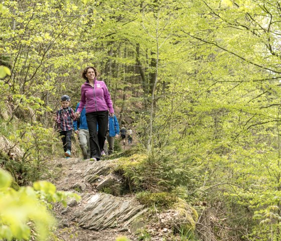 Partnerweg des Eifelsteigs  - Klosterroute, © Grünmetropole e.V.