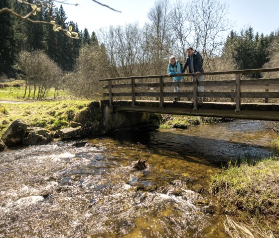 Narzissenblüte am Perlenbachtal, © StädteRegion Aachen