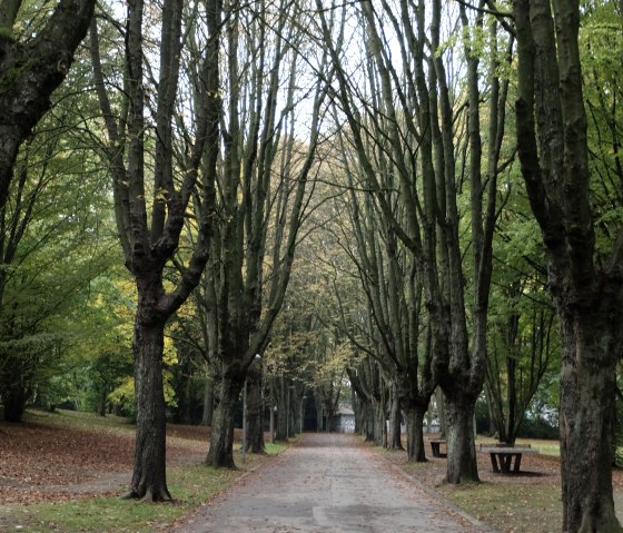 Stadtpark im Herbst, © aachen tourist service e.v.