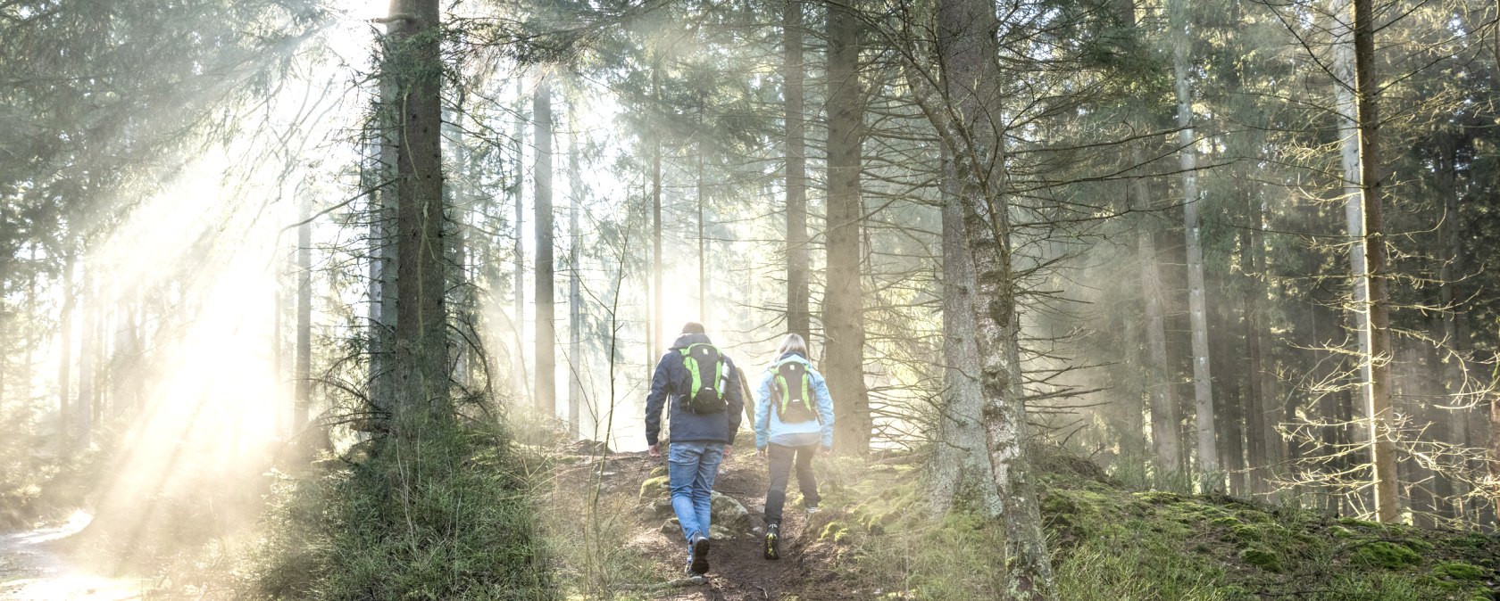 Weserbachtal , © Dominik Ketz, Eifel Touristik GmbH 