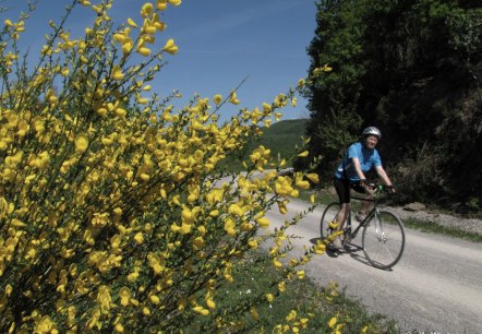 Radfahrer auf der Dreiborner Hochfläche, © K. Winter