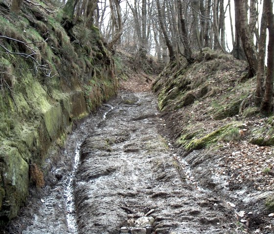 uralter Hohlweg mit alten Holzräderspuren, © StädteRegion Aachen