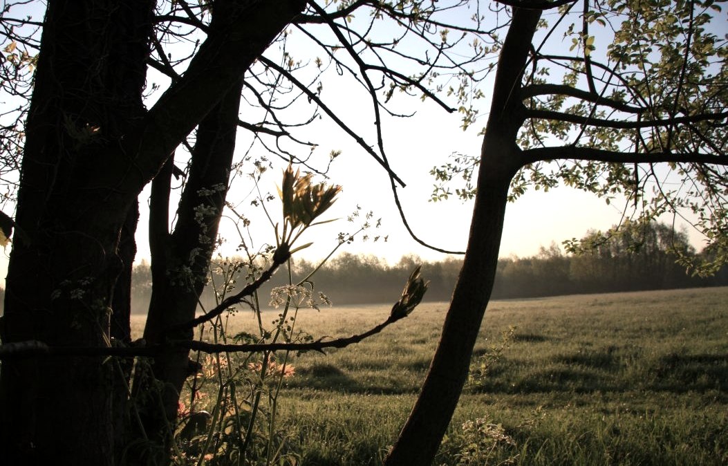 Soers bei Aachen, © StädteRegion Aachen