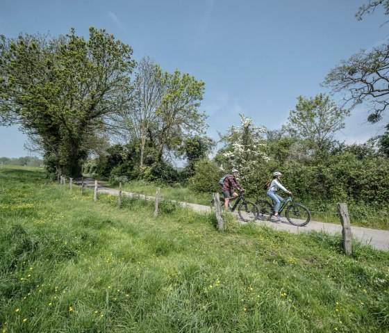 Radweg in der Nähe von Seffent, © Eifel Tourismus GmbH