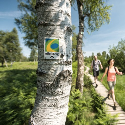 Eifelsteig Struffelt , © Dominik Ketz, Eifel Tourismus GmbH 