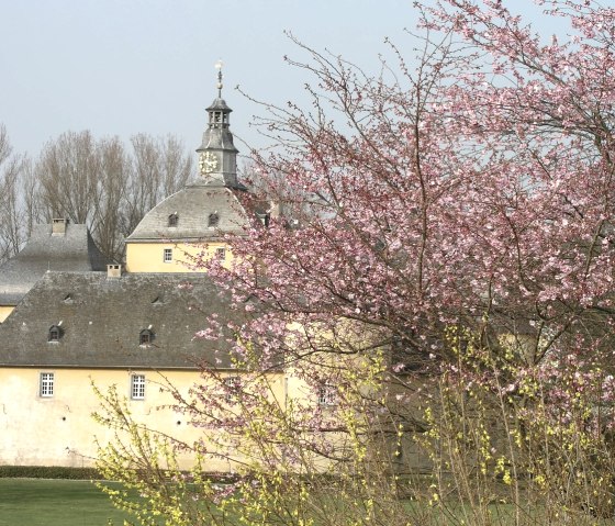 Burg Gudenau im  Frühling, © Rhein-Voreifel Touristik e.V.